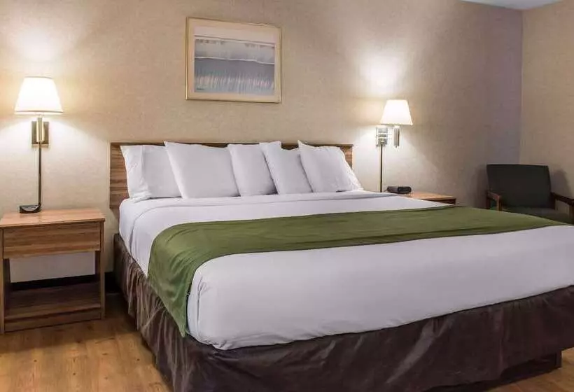 ホテル Quality Inn Arena