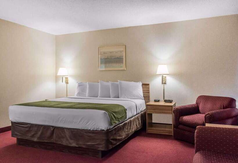 酒店 Quality Inn Arena