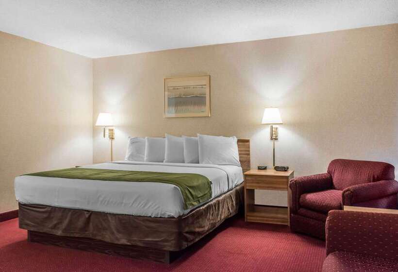 酒店 Quality Inn Arena