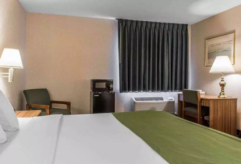 ホテル Quality Inn Arena