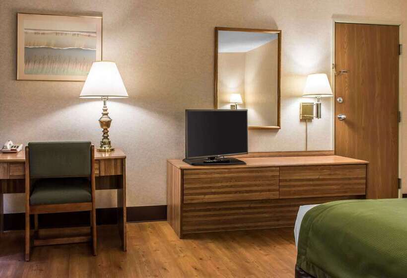 ホテル Quality Inn Arena