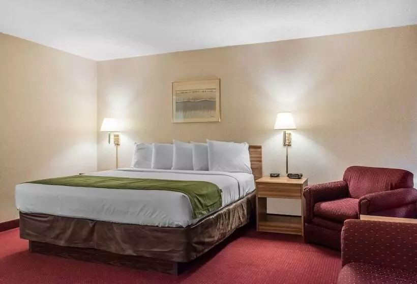 ホテル Quality Inn Arena