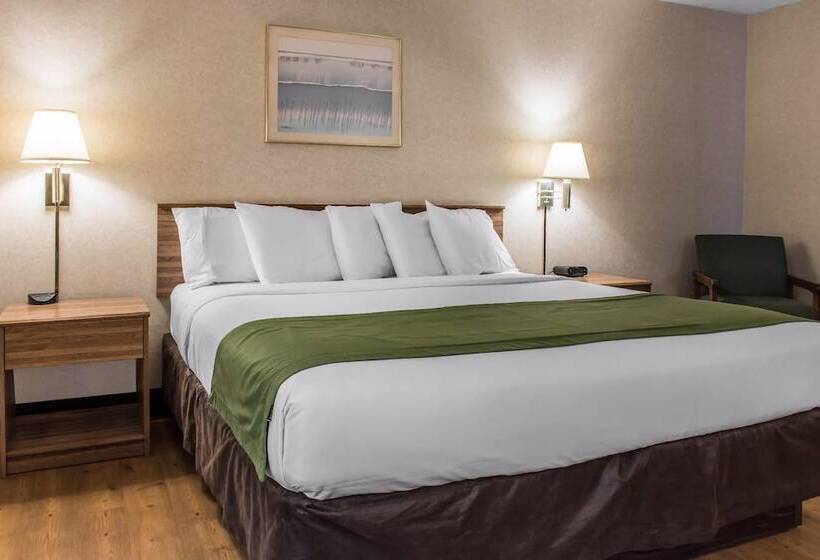 酒店 Quality Inn Arena