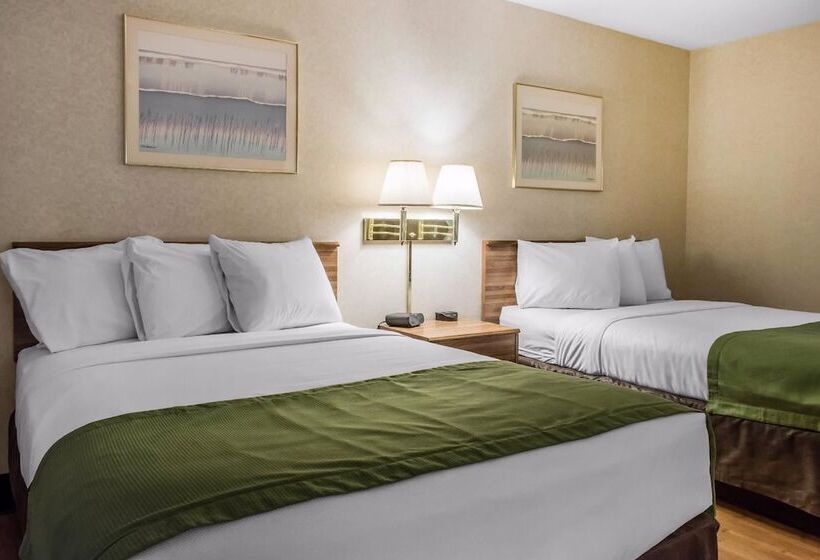 酒店 Quality Inn Arena