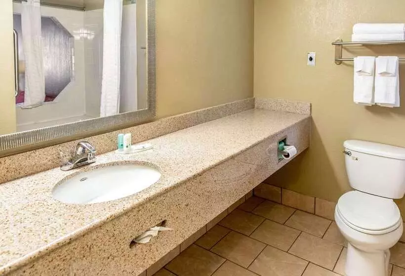 فندق Quality Inn & Suites