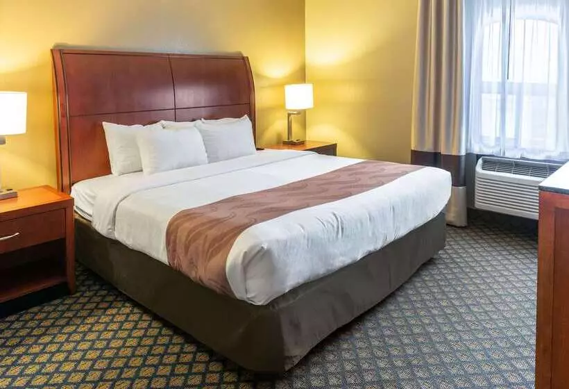 فندق Quality Inn & Suites
