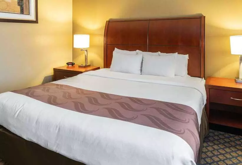 فندق Quality Inn & Suites