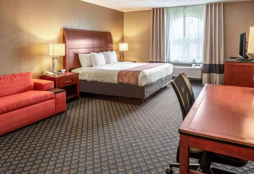 فندق Quality Inn & Suites