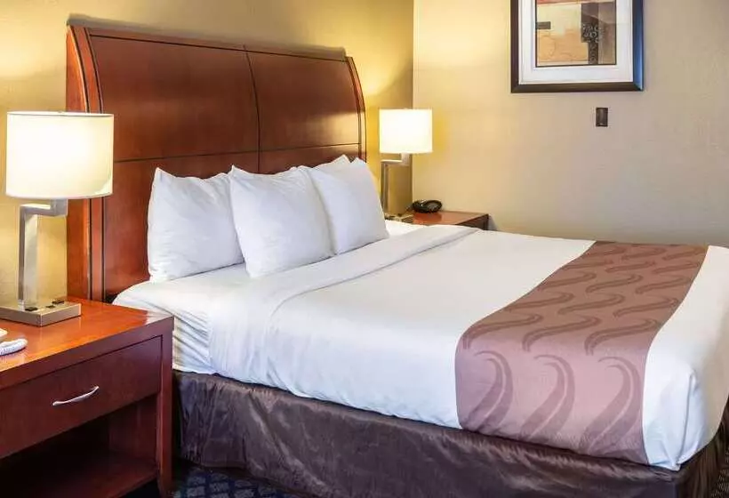 فندق Quality Inn & Suites