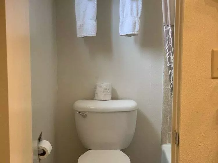 هتل White Buffalo