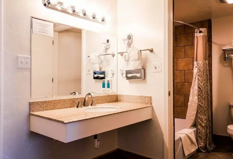 هتل White Buffalo