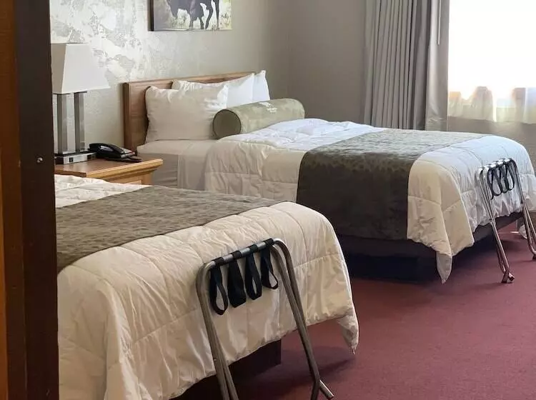 هتل White Buffalo