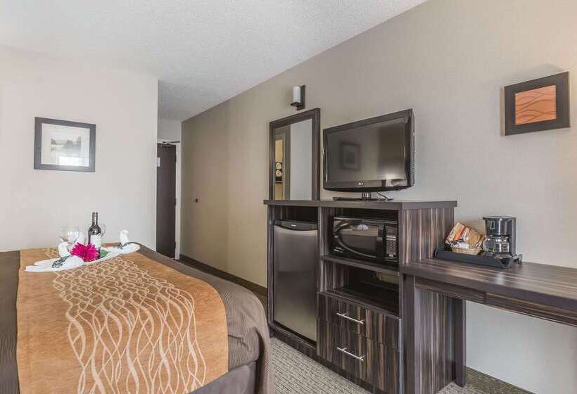 בית מלון כפרי Comfort Inn Trenton