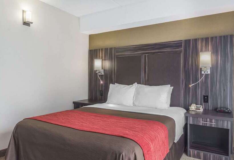 בית מלון כפרי Comfort Inn Trenton