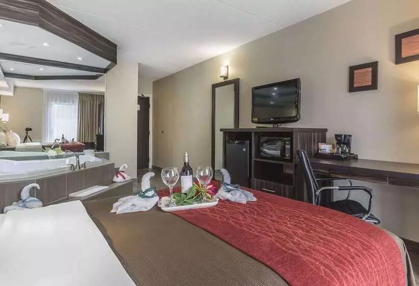 בית מלון כפרי Comfort Inn  Trenton