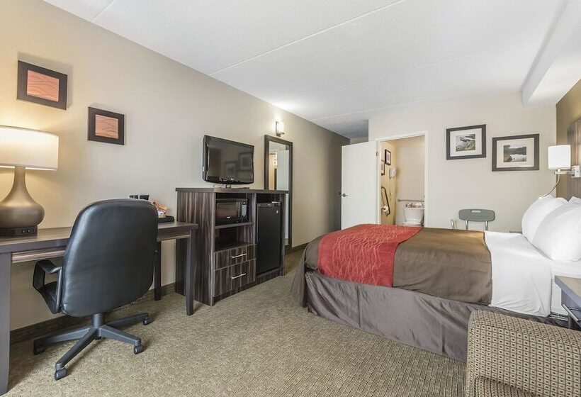 בית מלון כפרי Comfort Inn Trenton