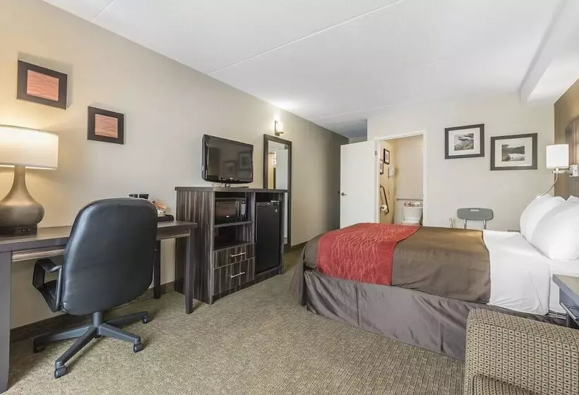 בית מלון כפרי Comfort Inn  Trenton