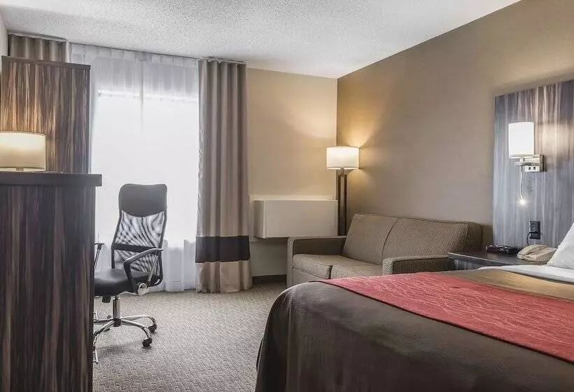 בית מלון כפרי Comfort Inn  Trenton