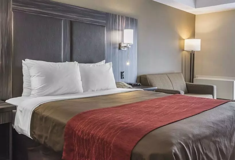 בית מלון כפרי Comfort Inn  Trenton