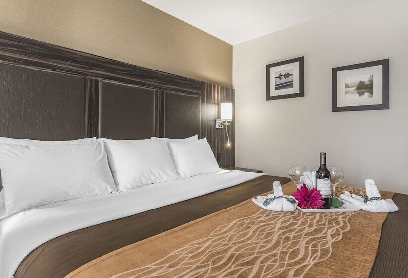 בית מלון כפרי Comfort Inn Trenton