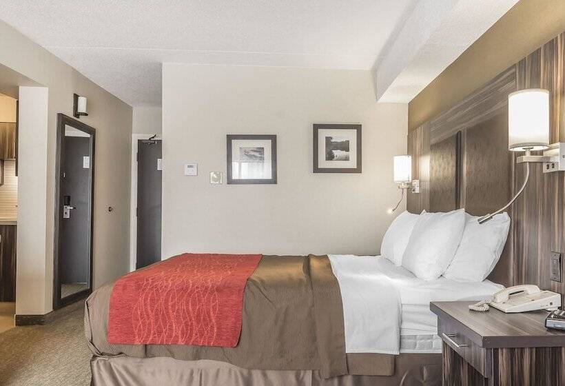 בית מלון כפרי Comfort Inn Trenton