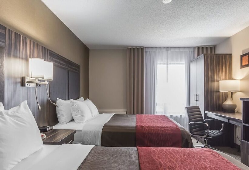 בית מלון כפרי Comfort Inn Trenton