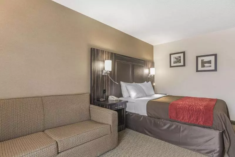 בית מלון כפרי Comfort Inn  Trenton