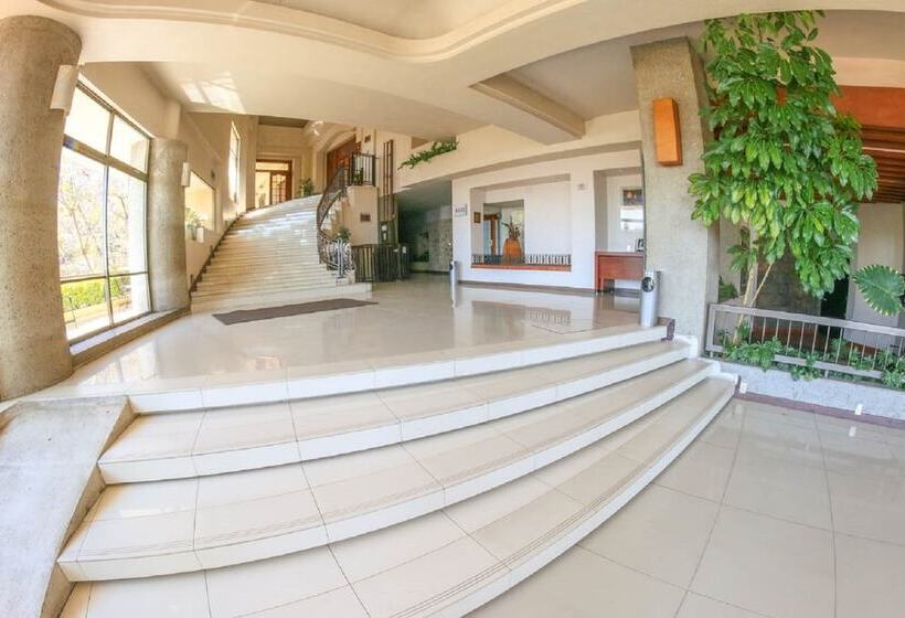 فندق Fortin Plaza