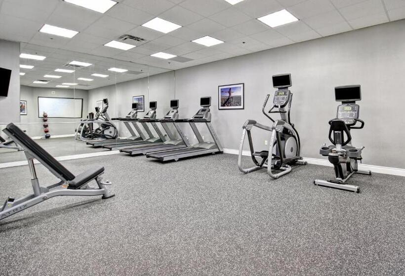 فندق Holiday Inn & Suites Windsor Ambassador Bridge By Ihg