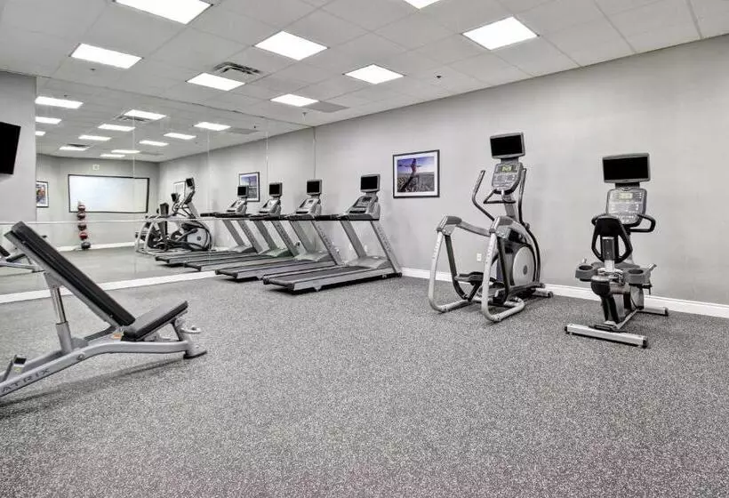 酒店 Holiday Inn & Suites Windsor Ambassador Bridge By Ihg