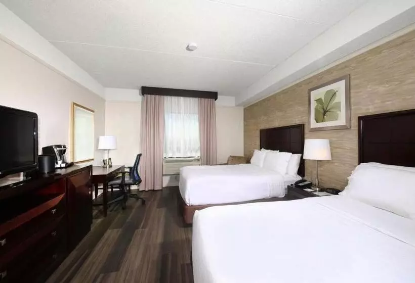 酒店 Holiday Inn & Suites Windsor Ambassador Bridge By Ihg