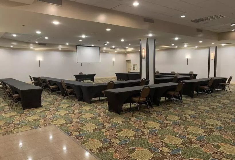 酒店 Holiday Inn & Suites Windsor Ambassador Bridge By Ihg
