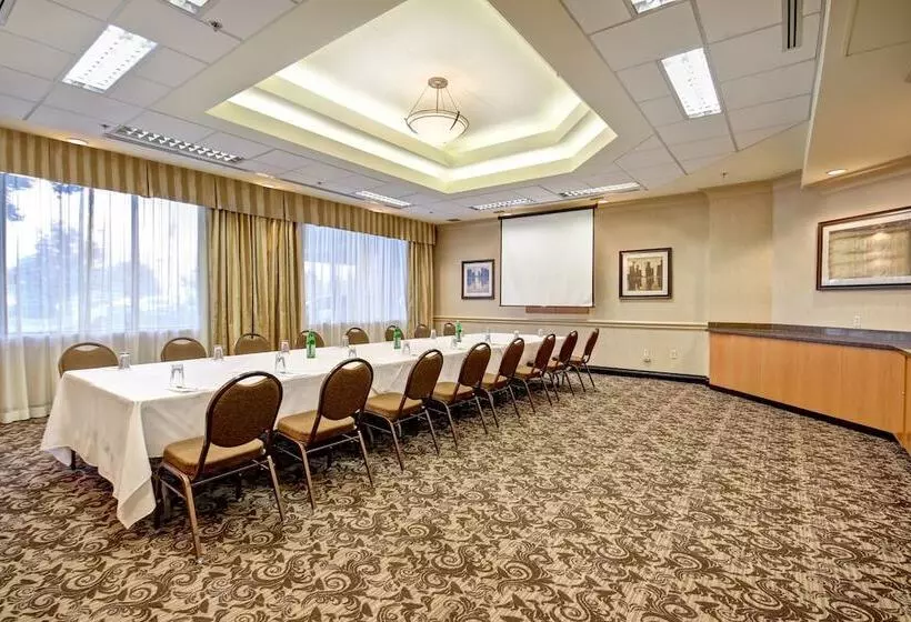 酒店 Holiday Inn & Suites Windsor Ambassador Bridge By Ihg