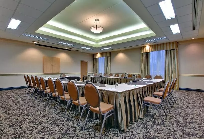 酒店 Holiday Inn & Suites Windsor Ambassador Bridge By Ihg