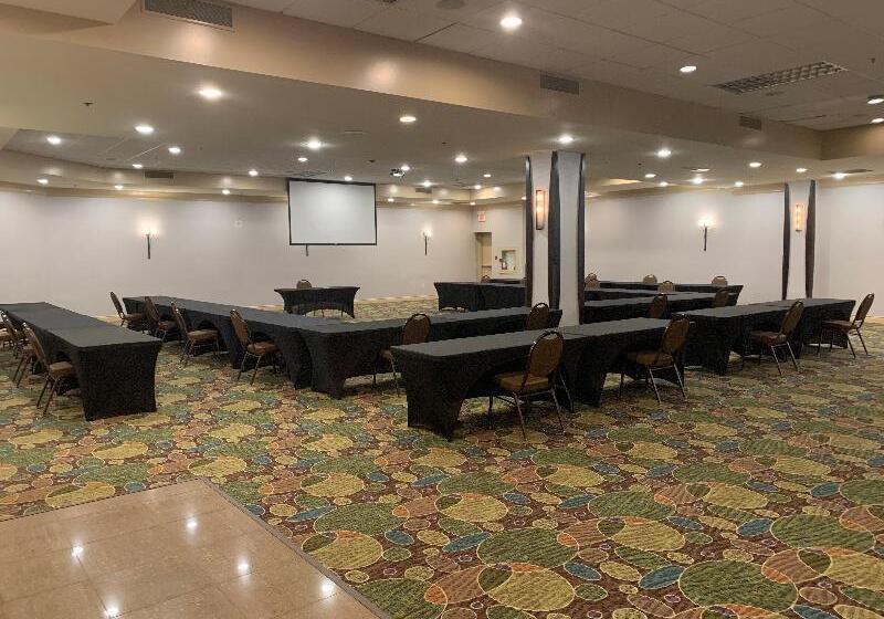 فندق Holiday Inn & Suites Windsor Ambassador Bridge By Ihg