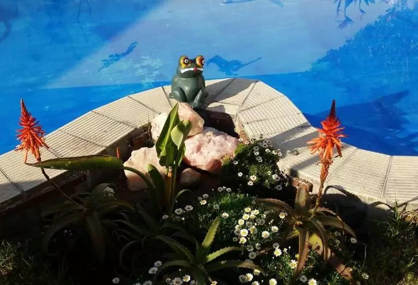 هتل Pension d'Avignon