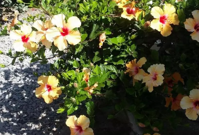 هتل Pension d'Avignon