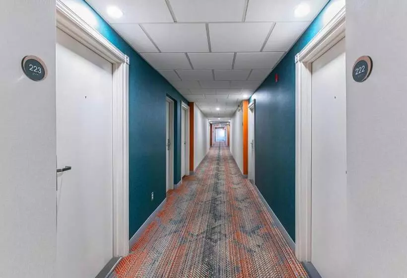 ホテル Comfort Suites