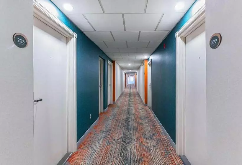 ホテル Comfort Suites