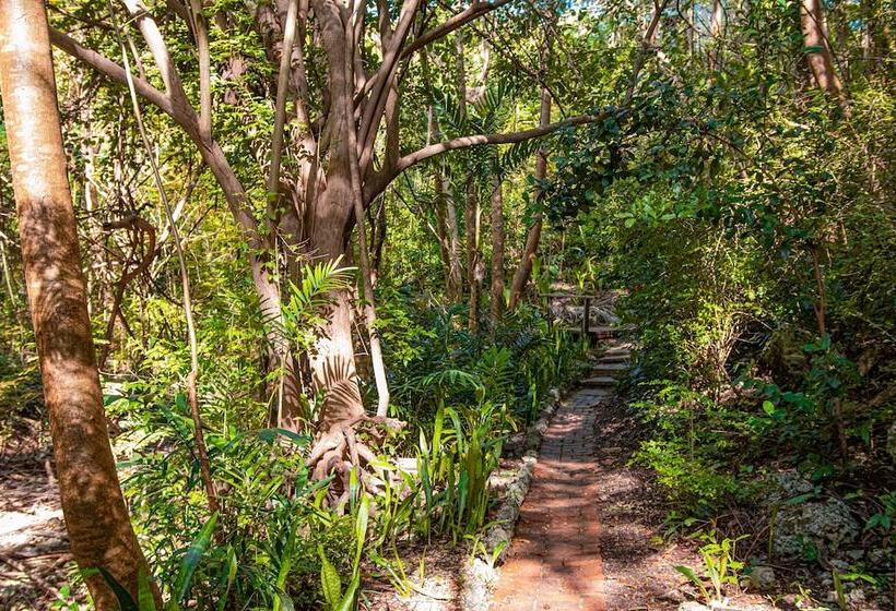 Sugar Cane Club Hotel & Spa