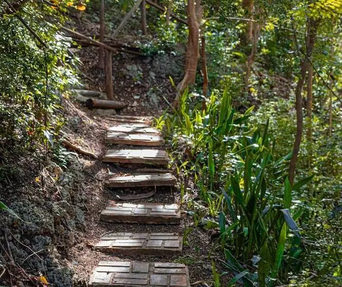 Sugar Cane Club Hotel & Spa