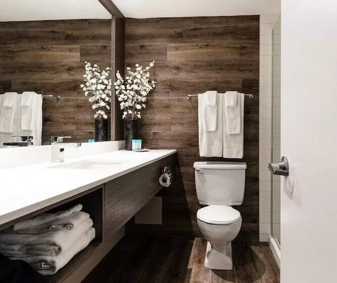 בית מלון כפרי Welcominns Ottawa