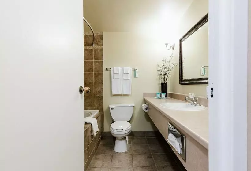 בית מלון כפרי Welcominns Ottawa