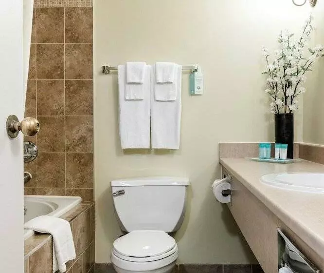 בית מלון כפרי Welcominns Ottawa