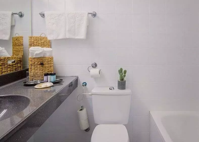 Haifa Tower Hotel   מלון מגדל חיפה