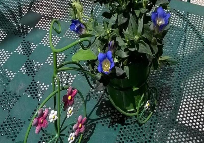 هتل France Eiffel