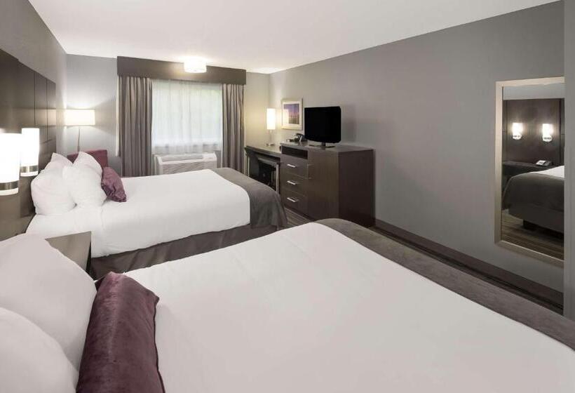 酒店 Best Western Riverside Inn