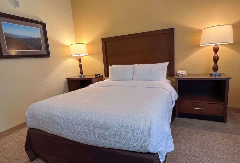 فندق Cherokee Inn