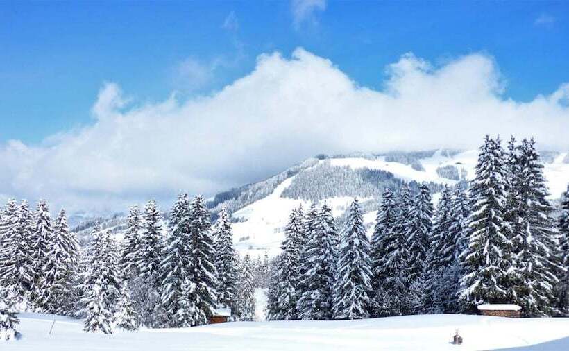 هتل La Grange D Arly