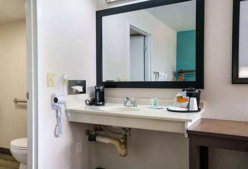 酒店 Quality Inn Greenville Near University